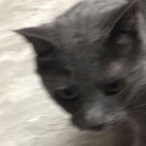 Meet your Posher, Elly